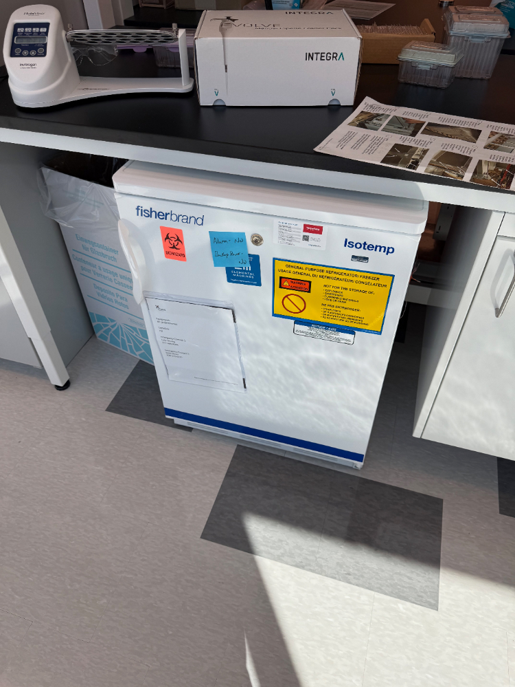 Image of Fisherbrand Isotemp under-counter refrigerator